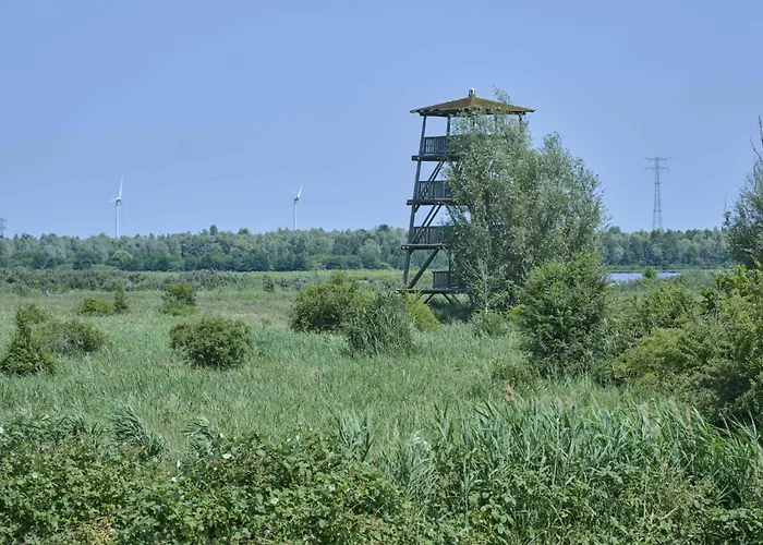 Poldergeluk Ooltgensplaat